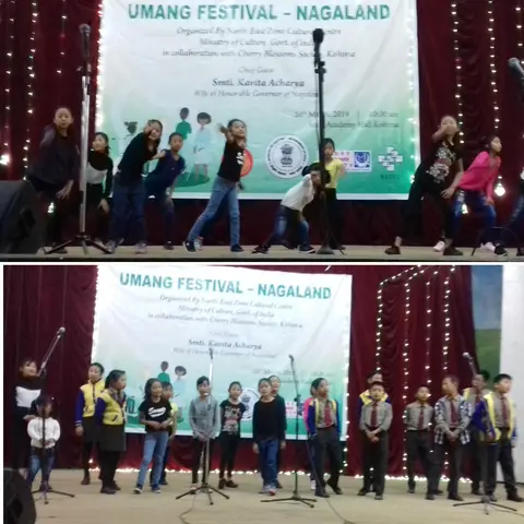 Participating schools with their performances during Umang Festival